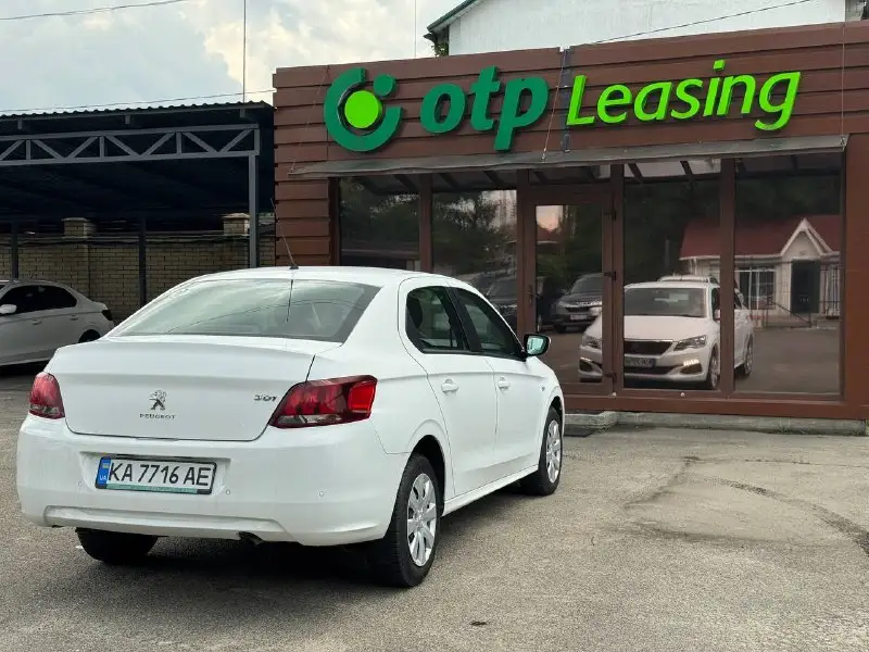 Peugeot 301 (ACTIVE) 3